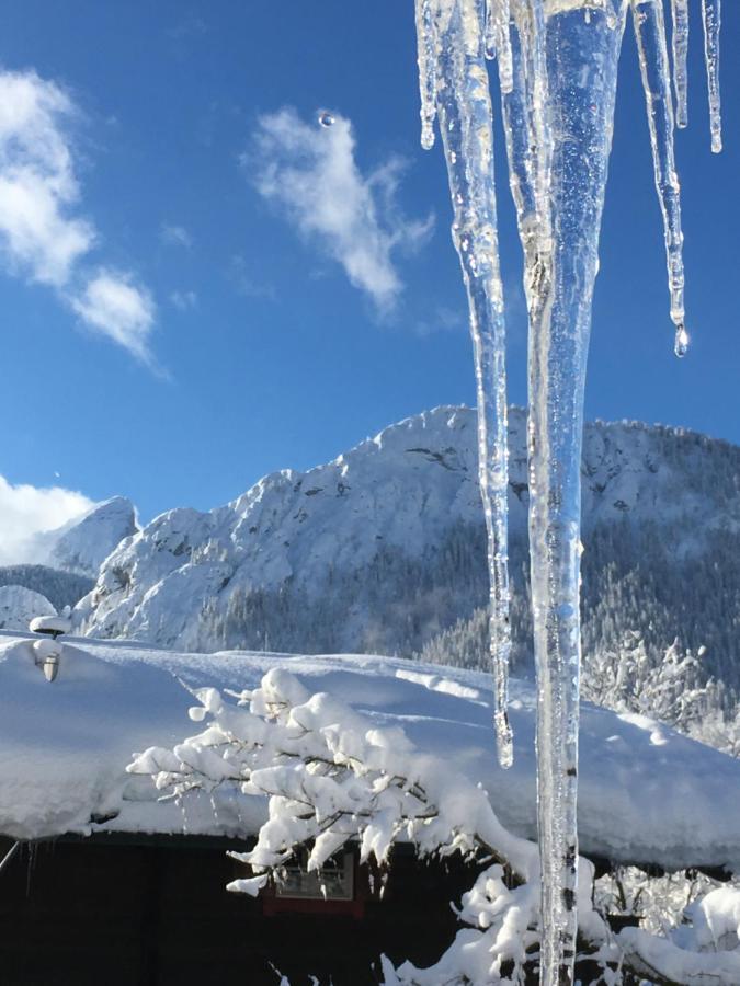 Haus Juna Schönau am Königssee Eksteriør billede